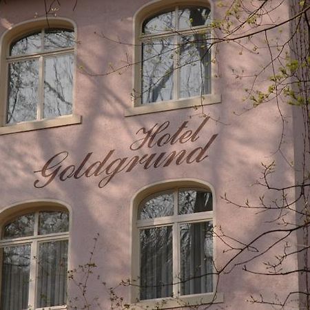 Hotel Goldgrund Meissen Bilik gambar